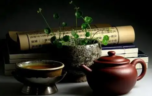 喝什么茶好？